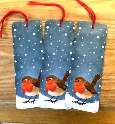 Robin bookmarks birthday - ,