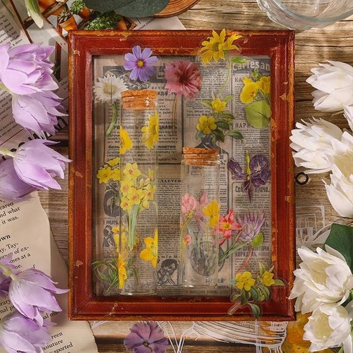 62pcs transparent dried flower - 62pcs,